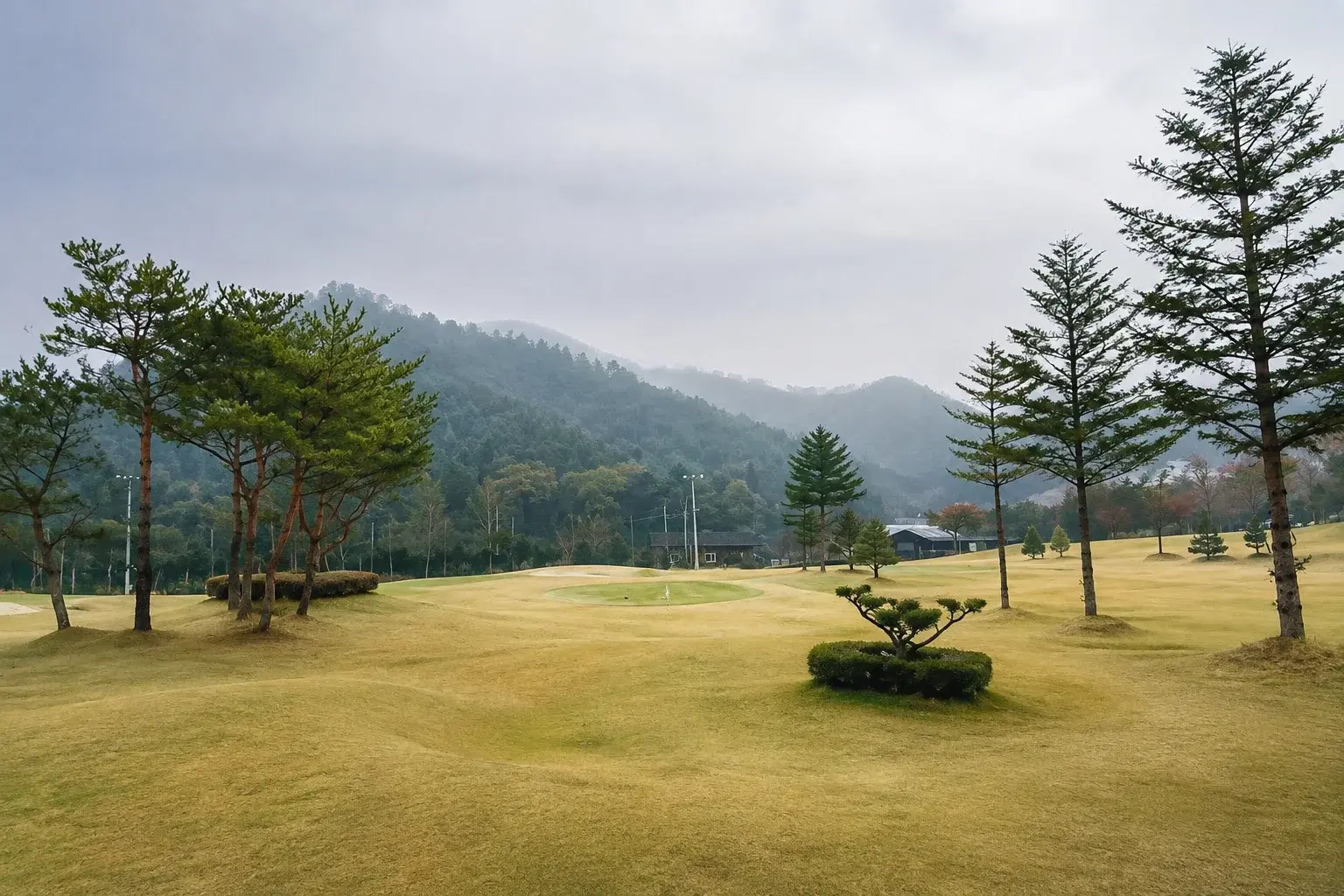 시설 특징을 참고해 AI로 생성한 이미지 · 실제 시설 사진 아님