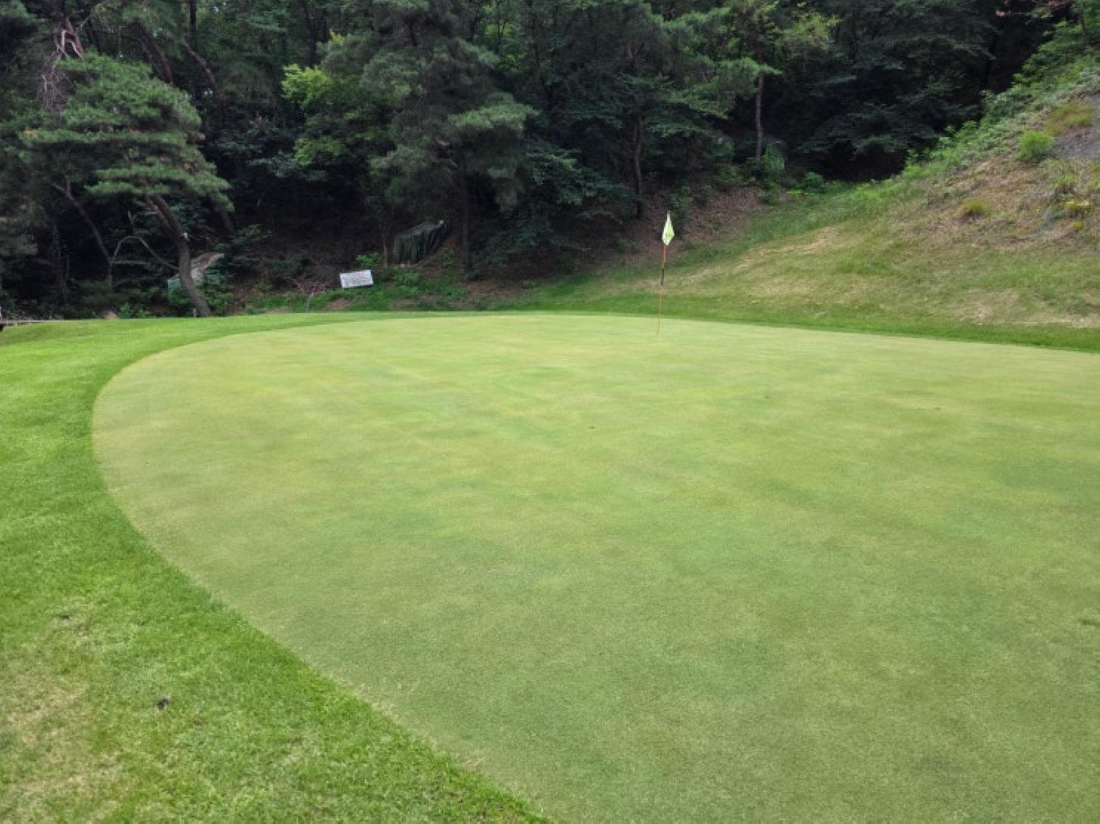 지산 파크골프클럽 파3 관련 블로그 썸네일