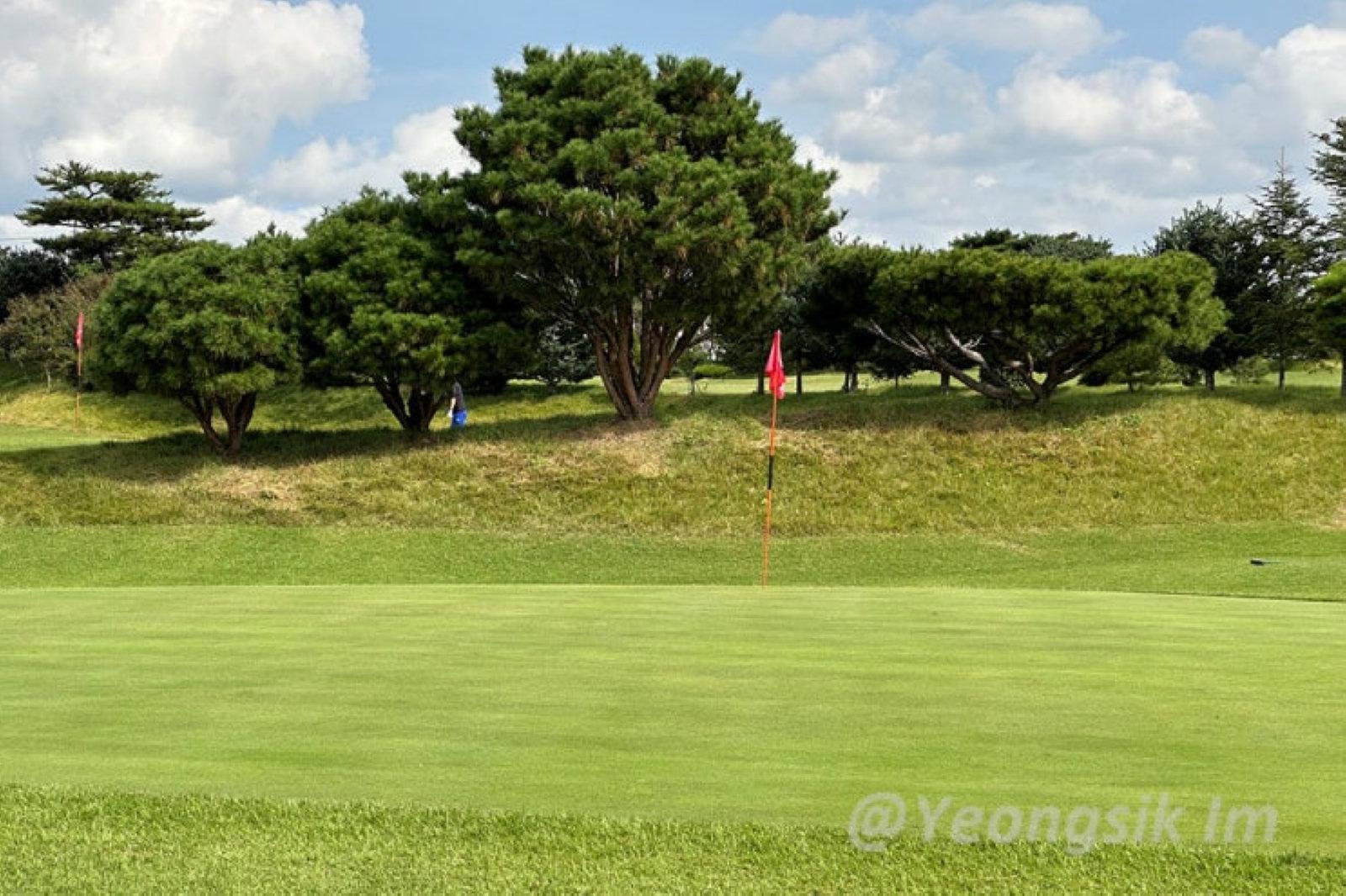 천북 PAR3 골프클럽 관련 블로그 썸네일